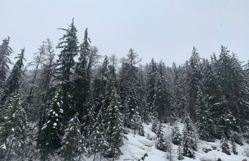 Studio terrasse sud vue montagnes Pra Loup 1500 - Foto 48