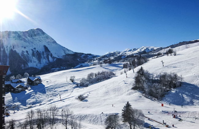 Pegase Phenix - Foto 19