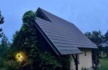 Domek w Leśnym Raju - Foto 15