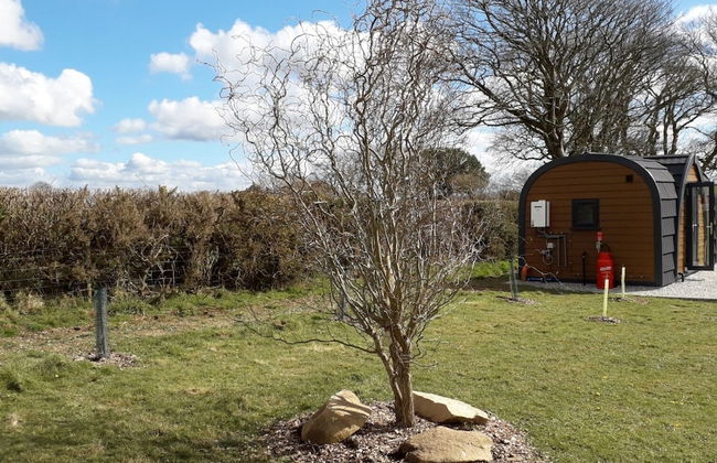 Hornbeam Eco Cabin - Sleeps 2 - Valley View - Foto 12