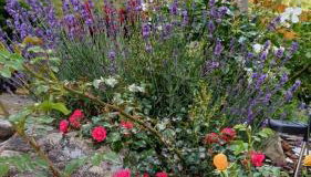 Dom pod kogutem - Foto 2