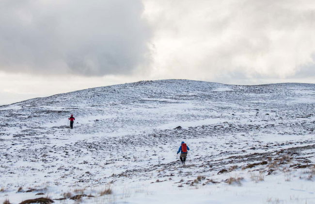 Dientes de Navarino Hike - Photo 1