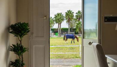 Il Monte Agriresort Copertino - Foto 3