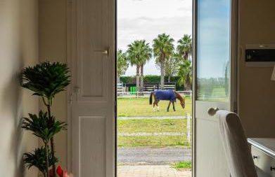 Il Monte Agriresort Copertino - Foto 3