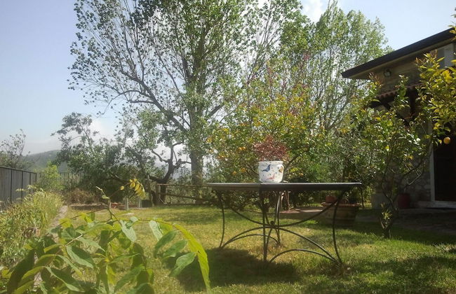 La Gabbianella e il Gatto - Foto 21