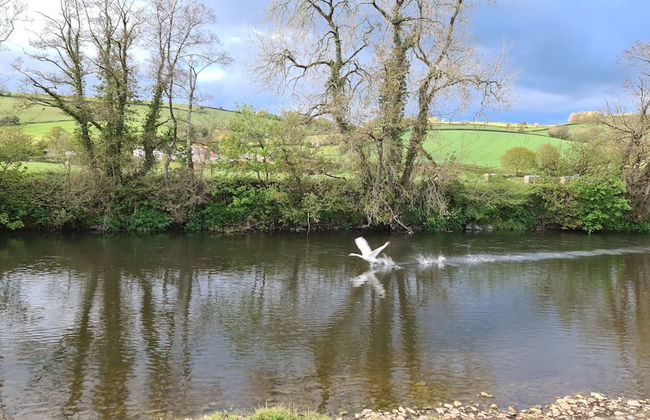 Viking Sleeping Barrel - Foto 14