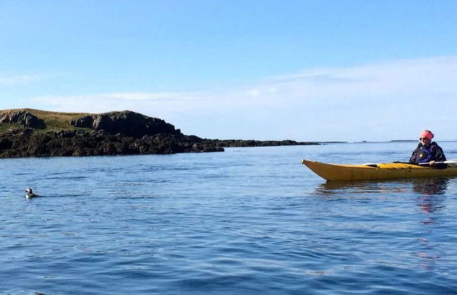 Stykkishólmur Coast Kayak Tour - Foto 3