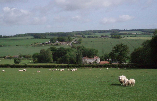 Marshwood Farm B&B - Photo 21