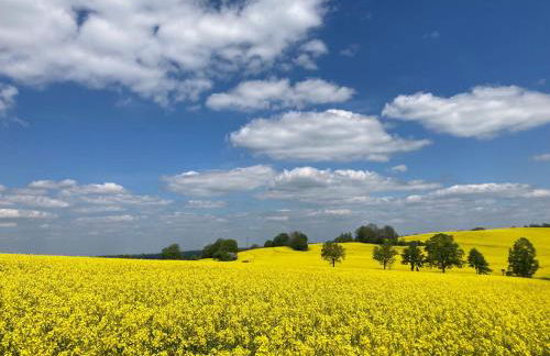 Erzgebirgshaus Zirbenliebe - Foto 27