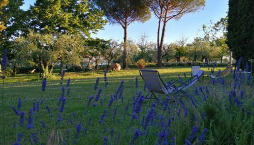 La Fornella dell'Anita - Foto 4, Garden, Garden view