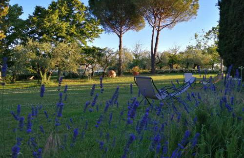 La Fornella dell'Anita - Foto 4