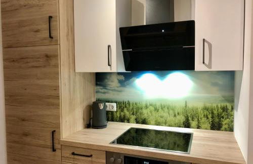 Schelterhof - Foto 30