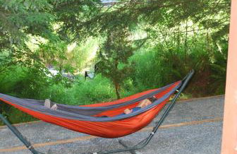 L'il Finch at Mount Rainier - Foto 16