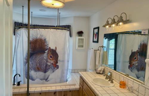 Squirrel View Hot tub BBQ Patio Shuffle Board - Foto 19