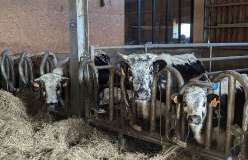 Gîte authentique à la montagne pour 10 pers. avec spa - FR-1-589-830 - Foto 18