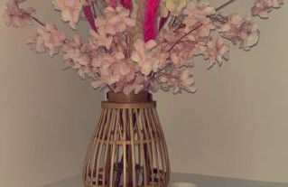 Apparemment t3 au cœur champenois - Foto 14