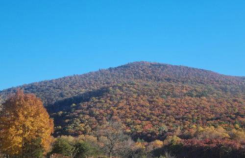 3BR Pet Friendly Cottage Mathias WV - Foto 25