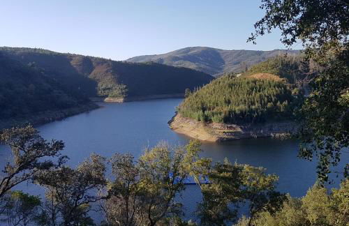 Quinta Dos Kiwis - Foto 17