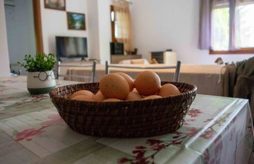 Efi's Guest House - Foto 26