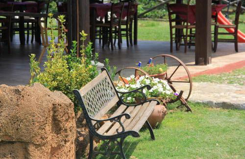 Bio Agriturismo Aia del Tufo - Foto 24