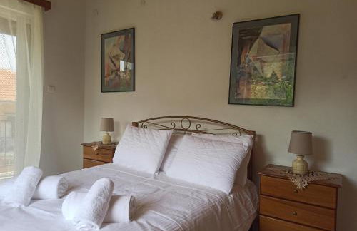 ELLI΄S HOUSE ΣΥΓΧΡΟΝΟ ΣΠΙΤΙ ΣΤΑ ΠΡΑΜΑΝΤΑ - Photo 14