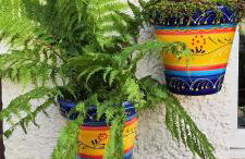 Fantastic sea views at Century's old Alma's Cottage - Sleeps up to 8 guests - Foto 20