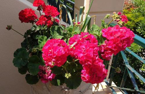 Maisonette on the beach with small garden - Foto 51