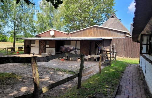 Ferienhof Schwalbennest OFC 24 - Foto 43