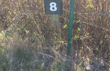 Die kleine Acht - direkt am Strand - Foto 31