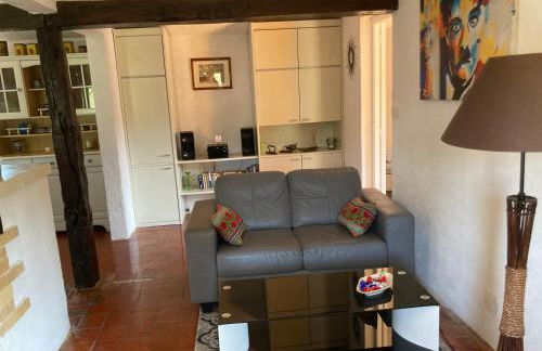 La bastide de Mauragne - Gîte les Iris - Photo 20