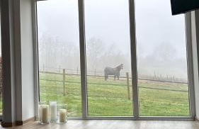 Apartment mit Garten - Foto 6