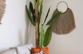 Pnoe - Feel at Home - Photo 27