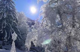 Appartement cosy 5-6p aux pieds des pistes 2 chambres 2 sdb - Foto 31