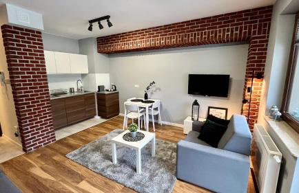 Apartament DOMINO Krynica Zdrój - Foto 8