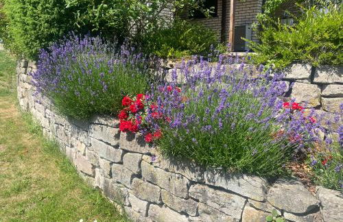 Ferienhaus Über dem Dorfe - Foto 25