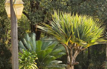 Casa de Campo Bh, Lindíssima, Sofisticada, Privativa, lazer, Completa - Foto 66