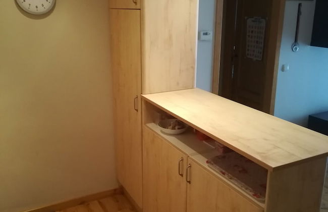 Vitivola Julia Baix 5 - Foto 7