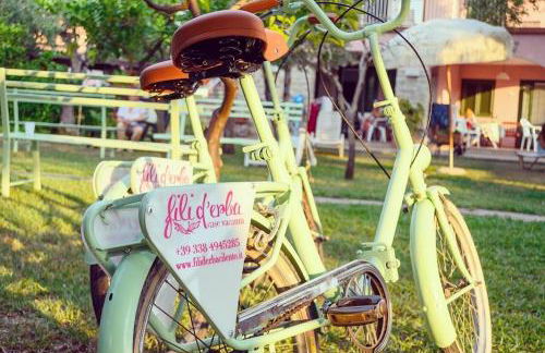 Fili d'Erba Cilento - Foto 13