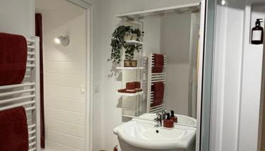 Appartement terrasse au cœur de la ville - Foto 5