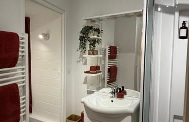 Appartement terrasse au cœur de la ville - Foto 5