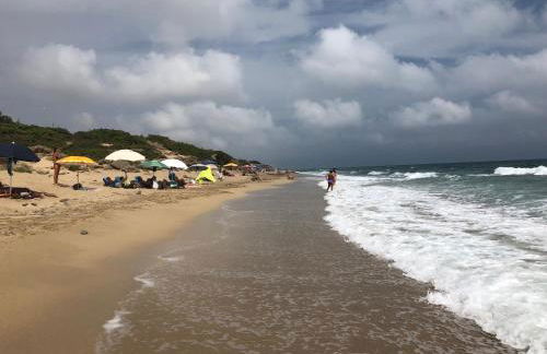 FICOMORO FARM - Foto 44