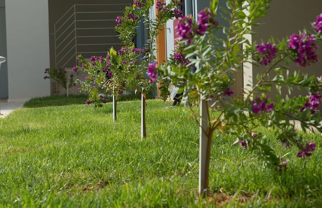 Mantinia Bay Hotel - Foto 25