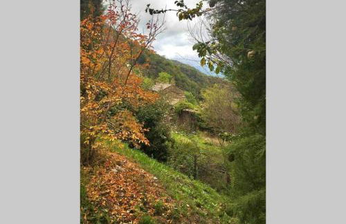 La Pellegrine, Parc national des Cévennes - Foto 16