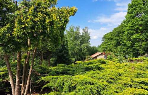 Brzozowy Zakątek - Foto 75