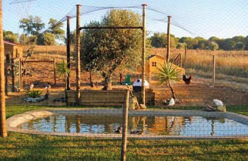 Monte Calmaria by Estilo Lusitano, with private pool and Jacuzzi - Foto 35