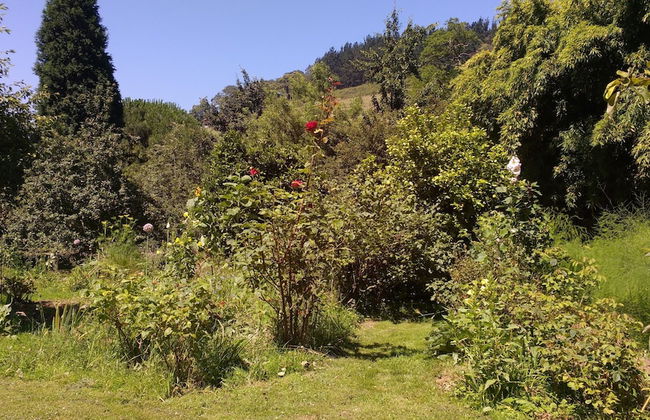 Apartamentos La Collada - Photo 44