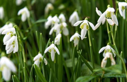 1 Bed in Crickhowell oc-bn144 - Photo 18