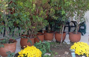 Akrata Golden Beach House - Foto 8