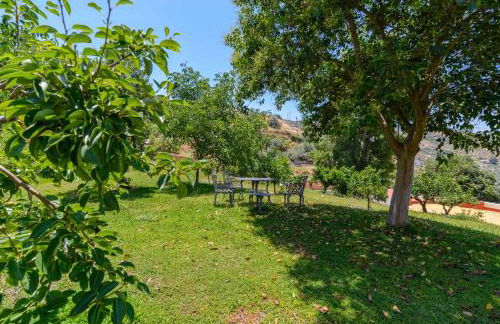 Apartamentos Sierra Tejeda - Photo 58