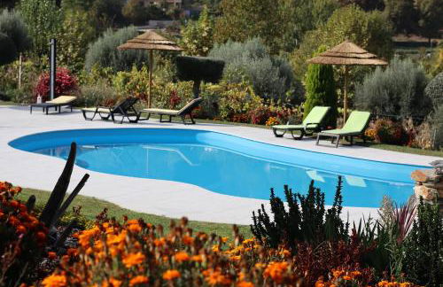 Sonho Verde - Foto 26